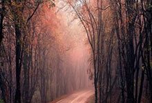 国际米兰阵容强大，受到瞩目？