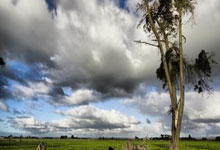 球员心态崩溃，俱乐部陷入困境