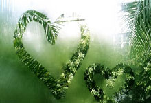 雄鹿击败公牛，字母哥三分回馈球迷