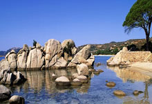 阿尔巴尼亚队创造历史，挺进欧洲杯强