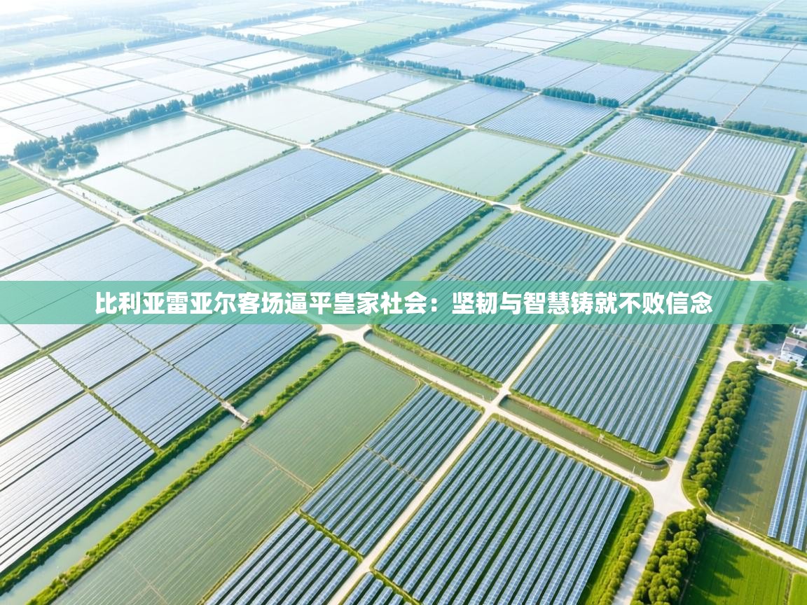 比利亚雷亚尔客场逼平皇家社会：坚韧与智慧铸就不败信念  第2张